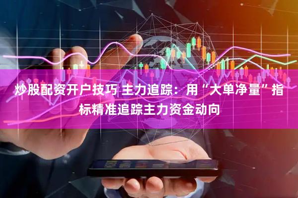 炒股配资开户技巧 主力追踪：用“大单净量”指标精准追踪主力资金动向