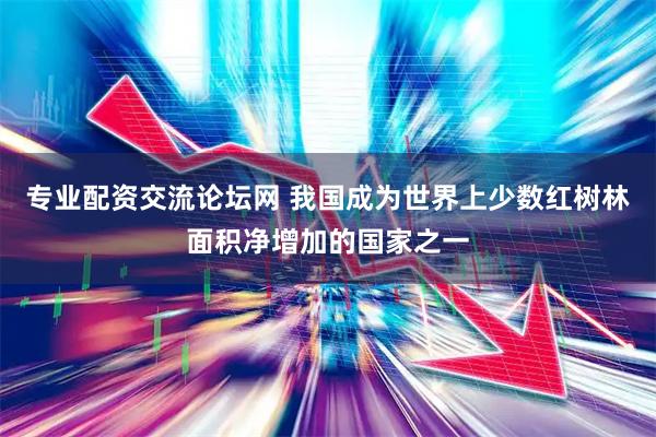 专业配资交流论坛网 我国成为世界上少数红树林面积净增加的国家之一